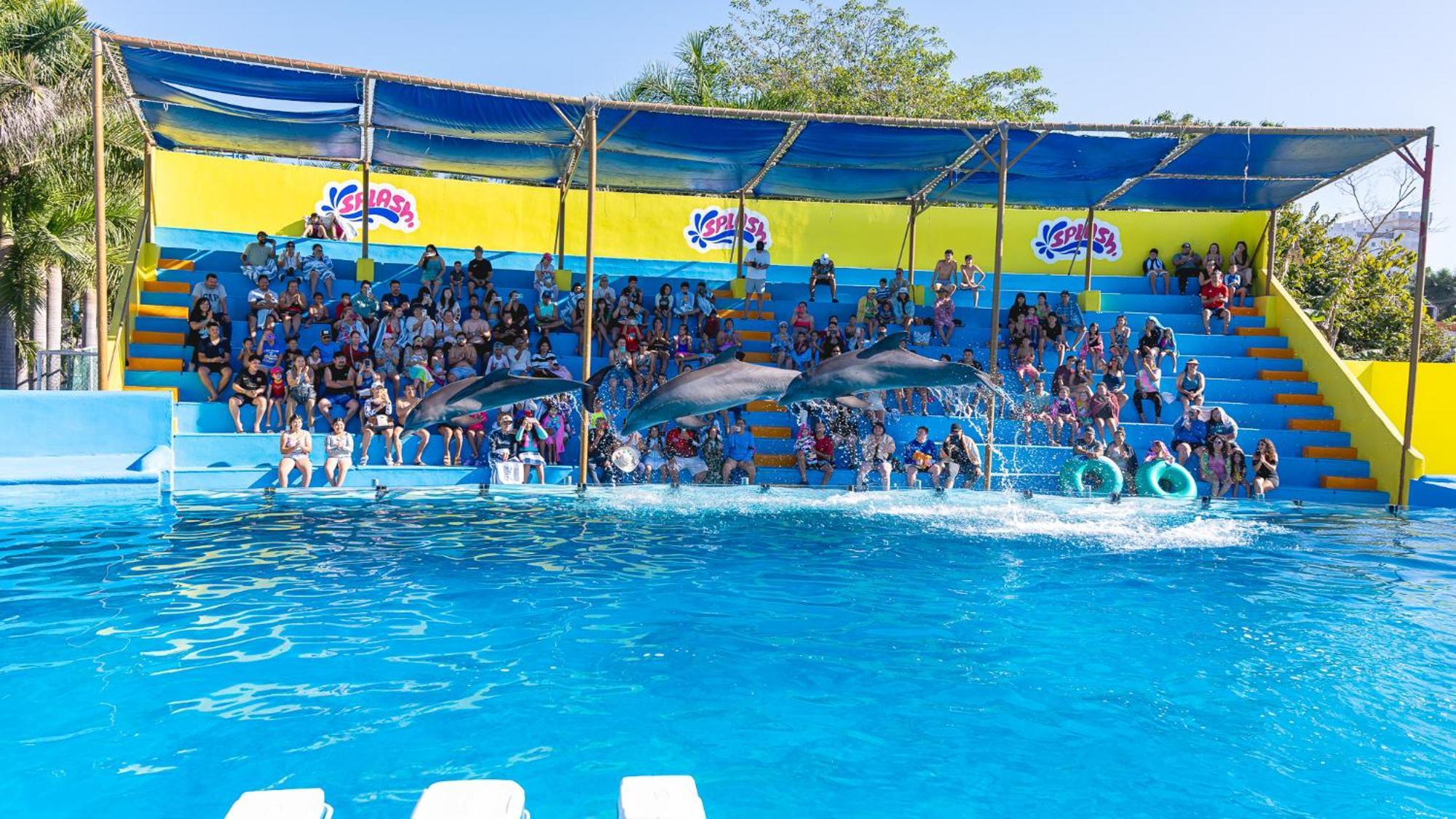 Splash Inn Nuevo Vallarta & Parque Acuatico Exterior photo